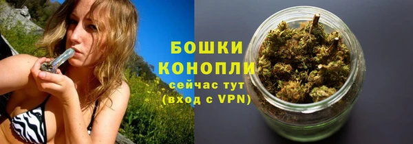 мдпв Верея