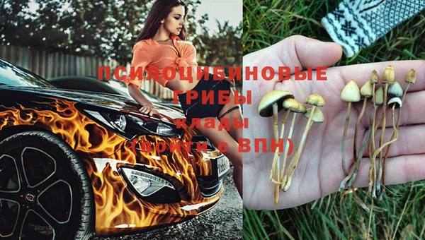 мдпв Верея